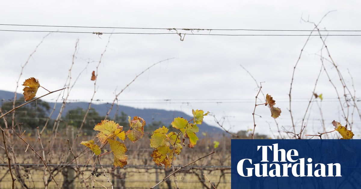 Filipino migrant worker’s death in NSW referred to federal police