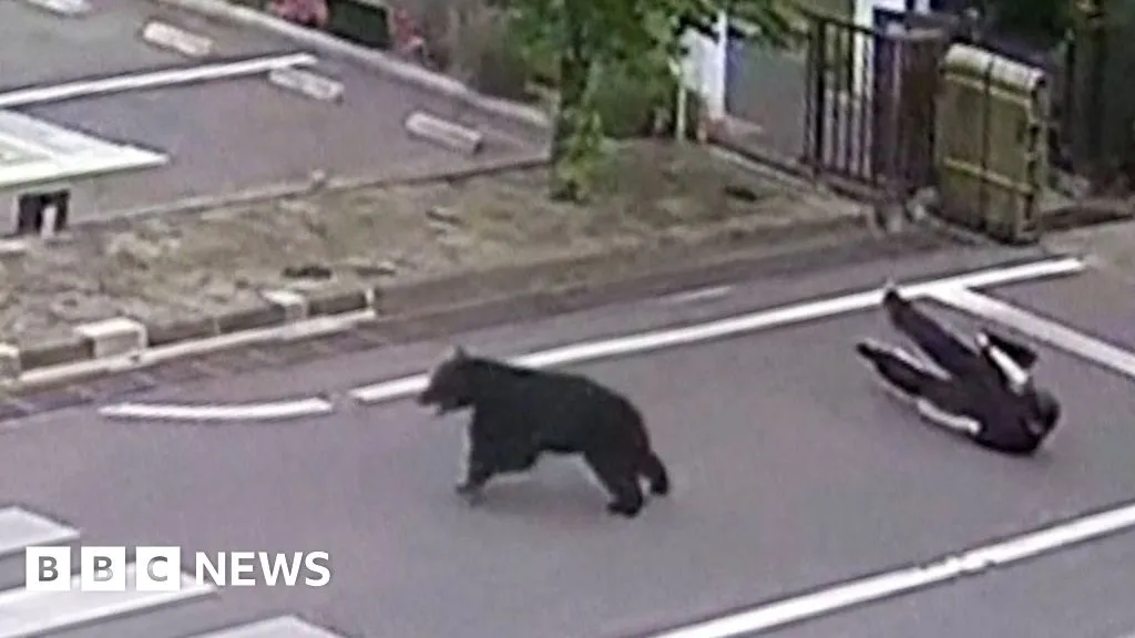 Watch: Man attacked by bear at steel works in Japan