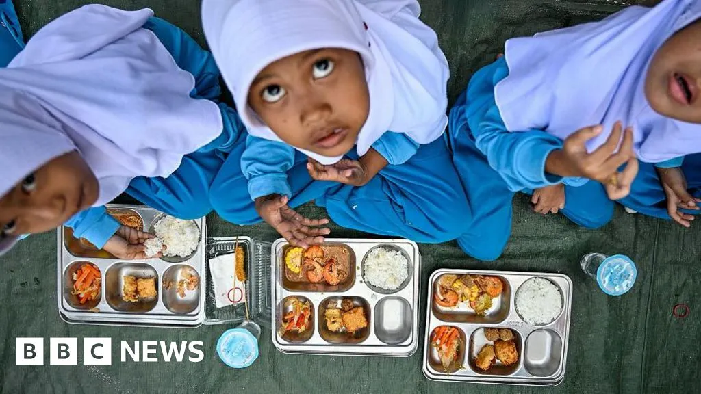 Indonesia's Prabowo fires head of free meals scheme plagued by poisonings