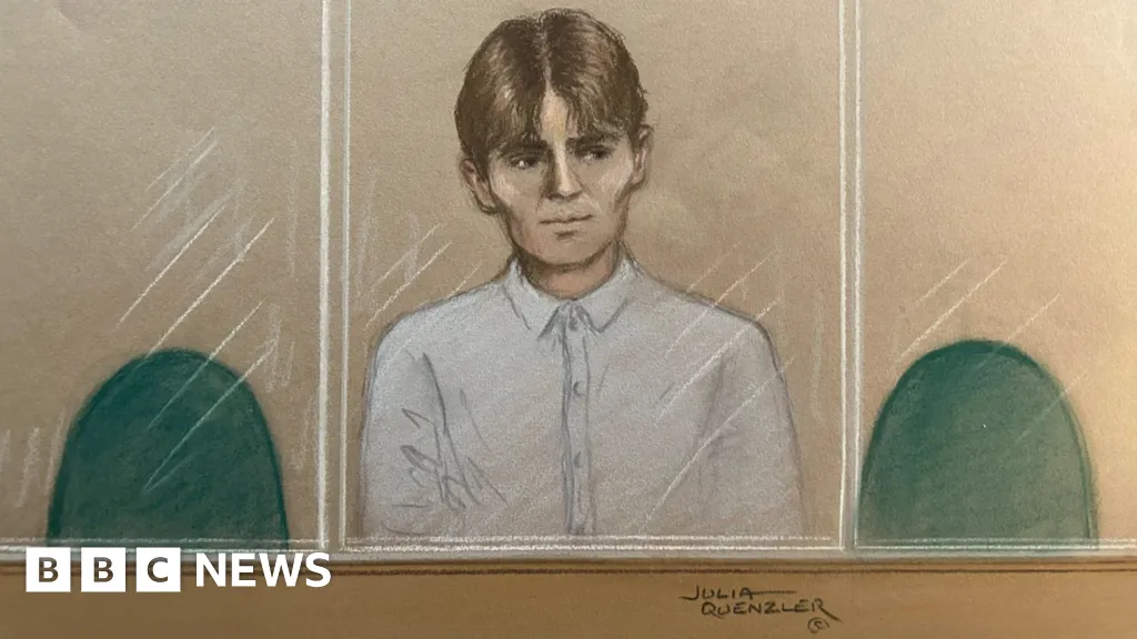 Norwegian teen was in UK to 'undertake a hit', court hears