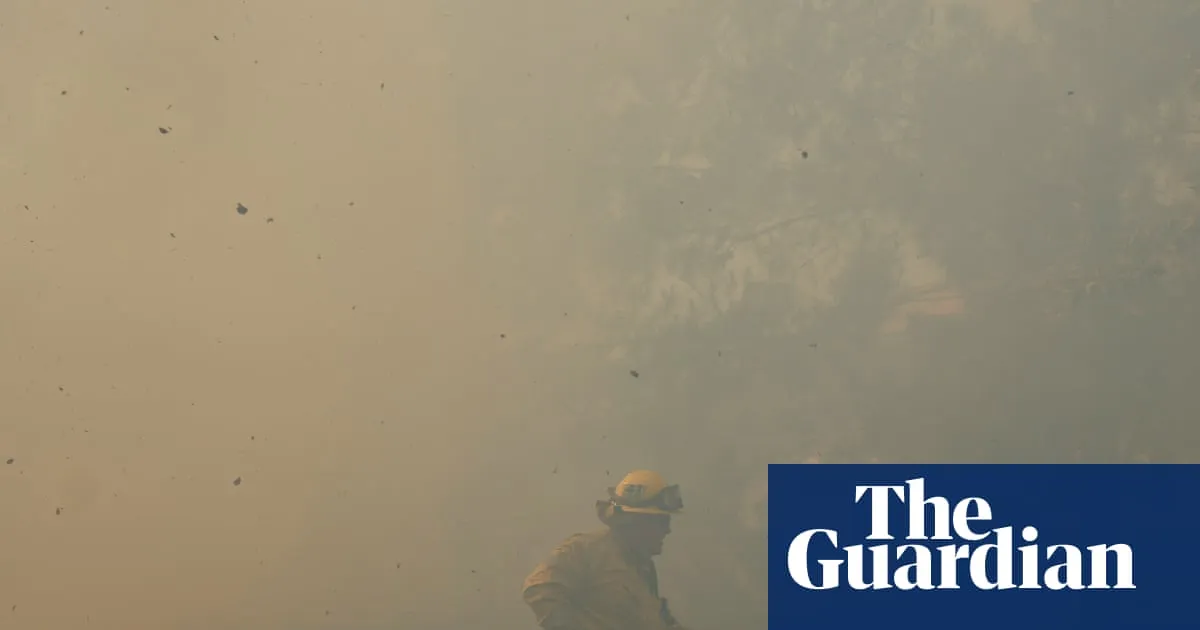 Wildfire smoke has reversed US progress toward ozone air quality, study finds
