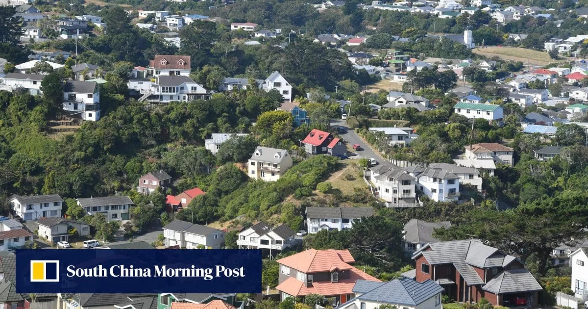 New Zealand’s Wellington hit by ‘disgusting’ deluge of faeces, sanitary items after storm
