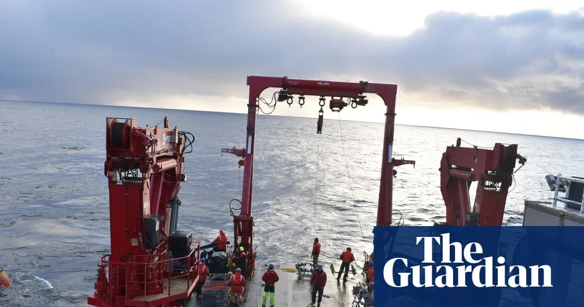 Scientists warn Trump plan to axe US ocean monitoring system will leave world ‘flying blind’