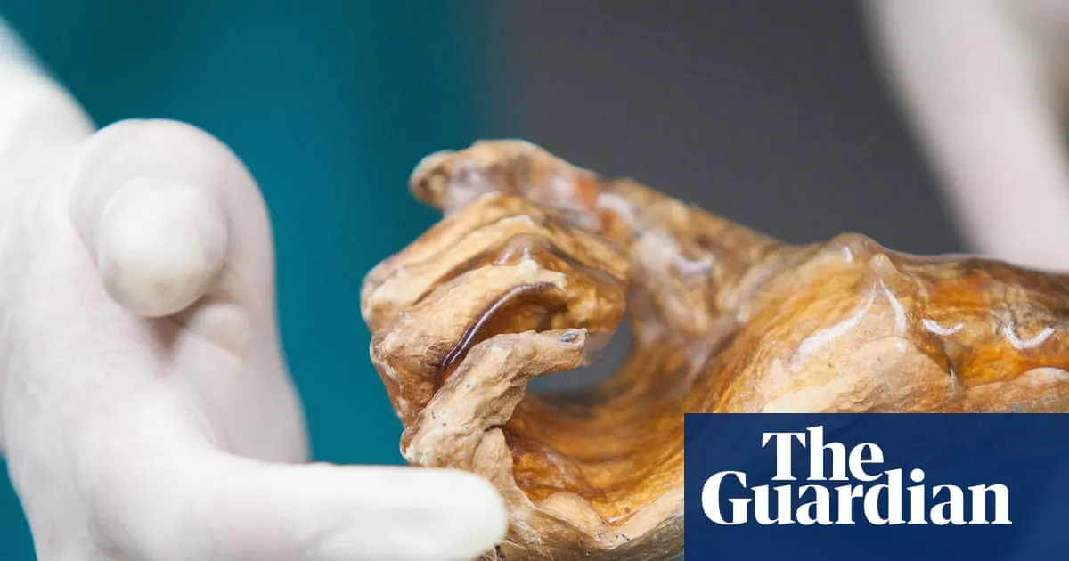 Scientists make sourdough bread using yeast found in 5,000-year-old mummy
