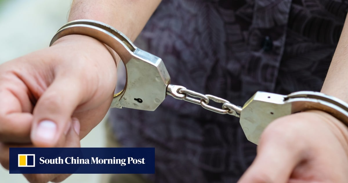 Hong Kong man arrested for allegedly groping schoolgirl on bus
