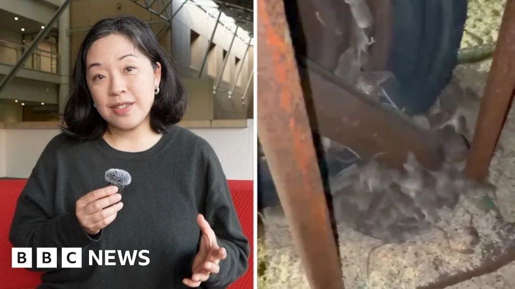 Why are devastating mice plagues happening in Australia?