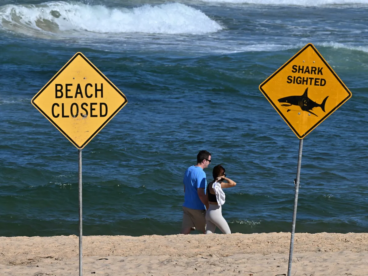 Man dies in Western Australia after shark attack
