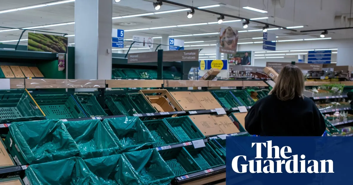 ‘Immediate national priority’: ministers accused of complacency over UK food supply