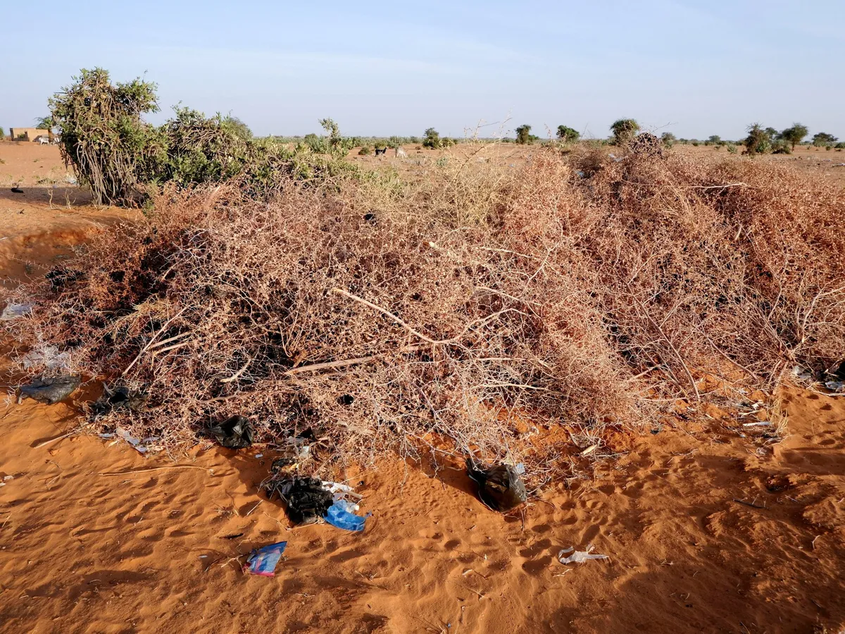 Rights group says drone strike kills 11 in central Sudan market