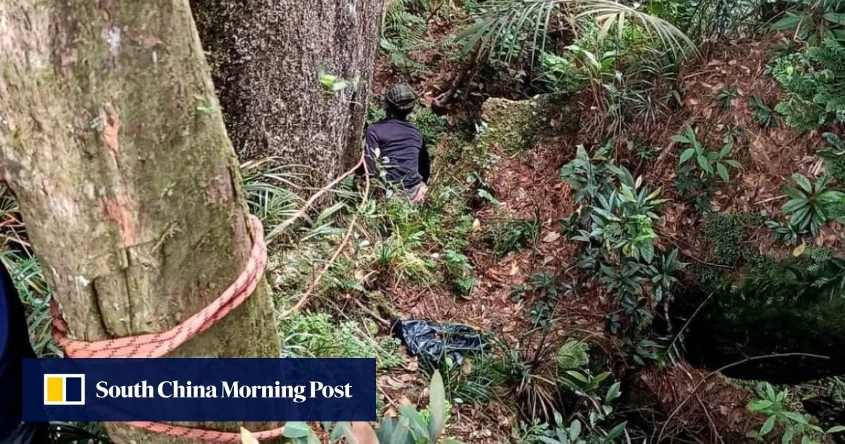 Malaysian hiker missing for 2 weeks miraculously survives on forest berries