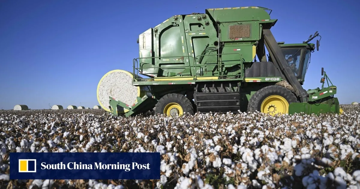 Chinese team injects desert moss gene into Xinjiang cotton to beat fungus, boost output