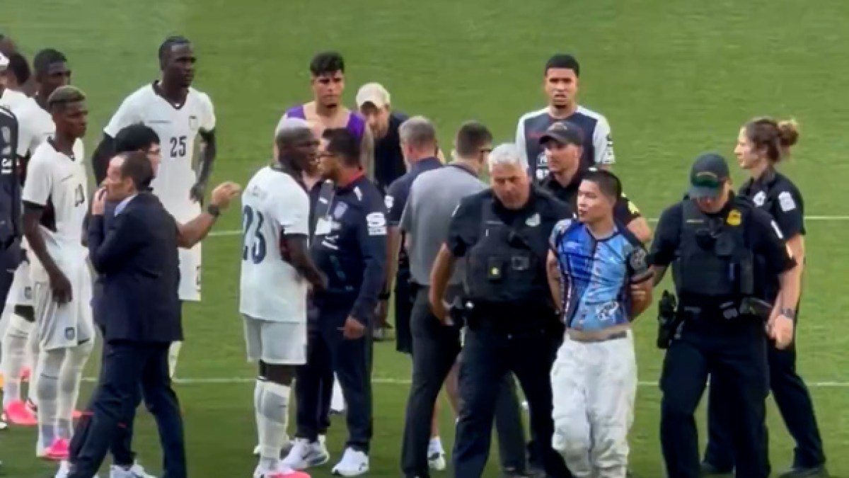 Ohio police drag away football pitch invader in pre-World Cup friendly