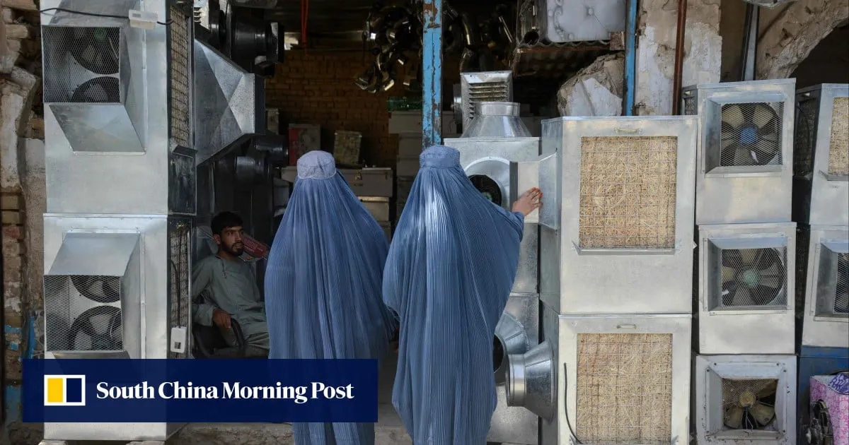 Afghan women detained by Taliban in clothing crackdown