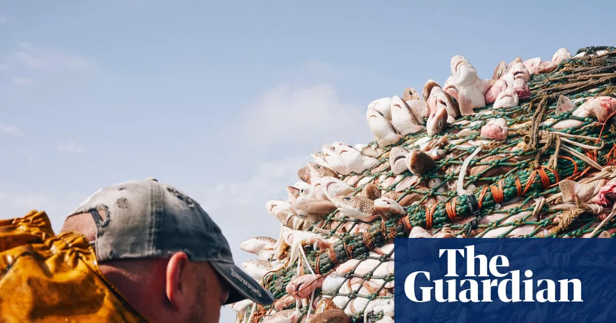 Bycatch has ‘shocking’ toll on British marine life, first-ever analysis reveals