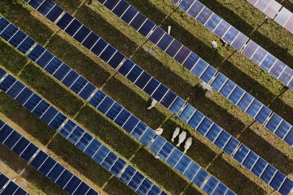 Solar power hits new milestones in the US even as Trump boosts coal over clean energy