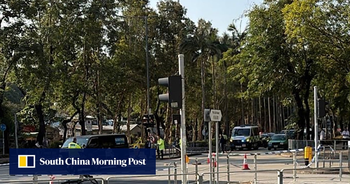 Hong Kong cyclist, 55, killed after being hit by van in Sheung Shui, driver arrested