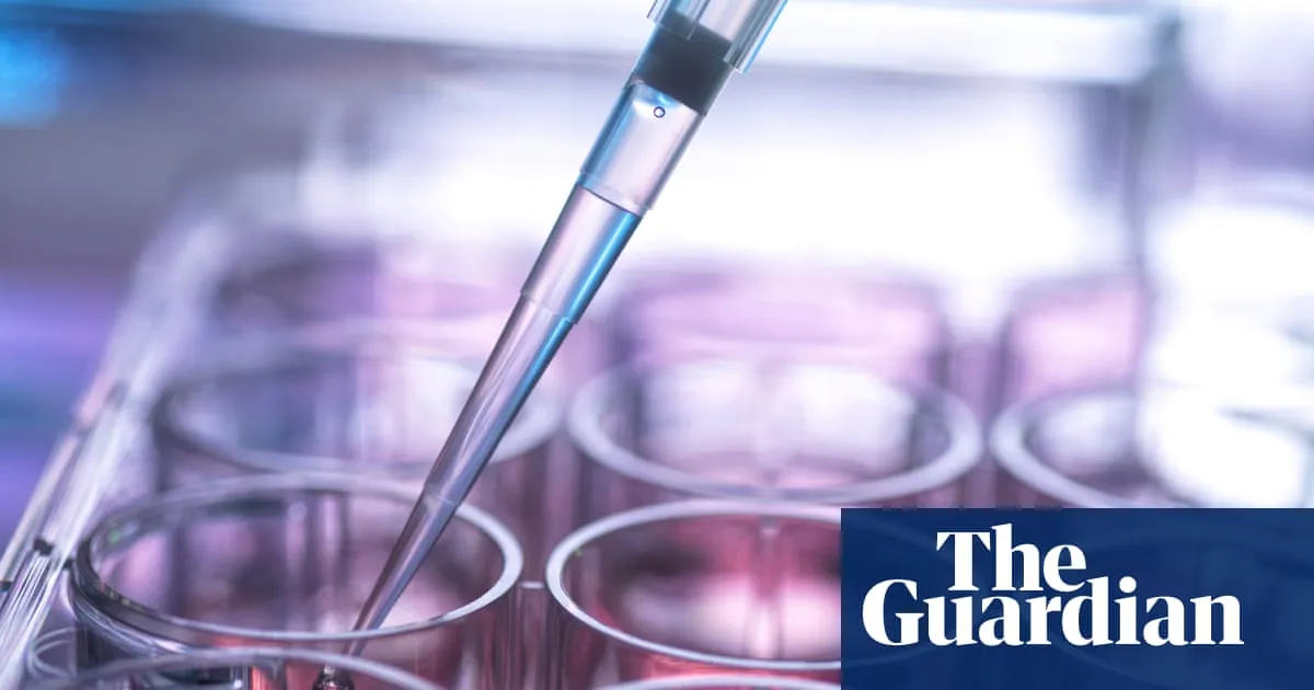 UK’s stem cell transplant system may be putting lives at risk, report by MPs finds