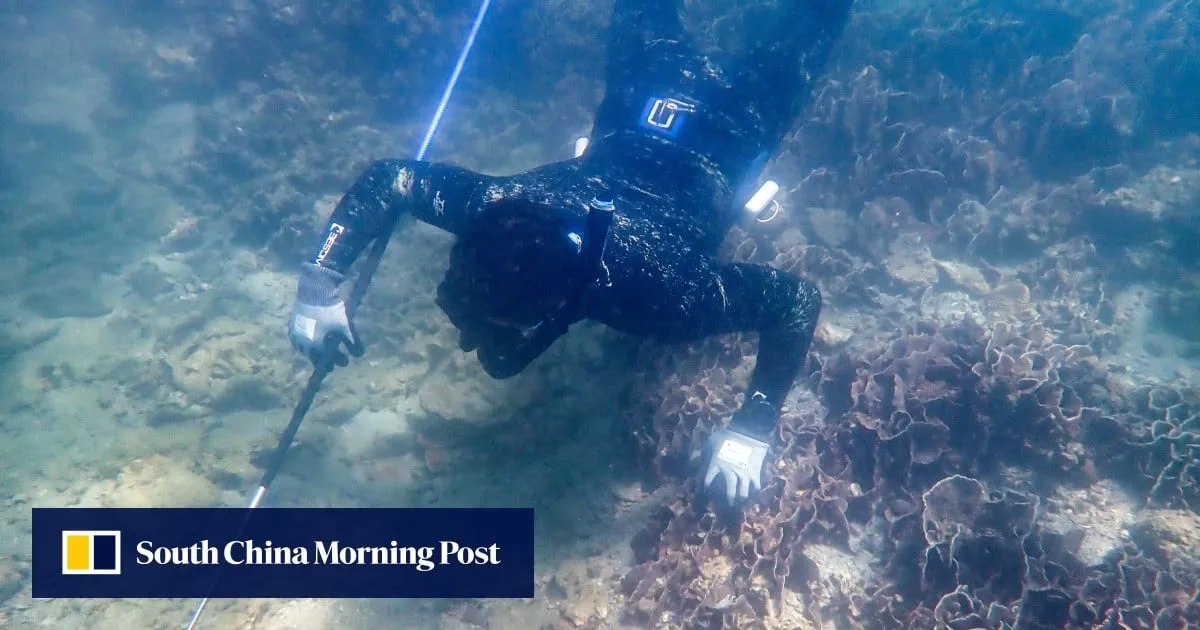 Proposed Sai Kung marine park to cover most coral reefs: Hong Kong authorities