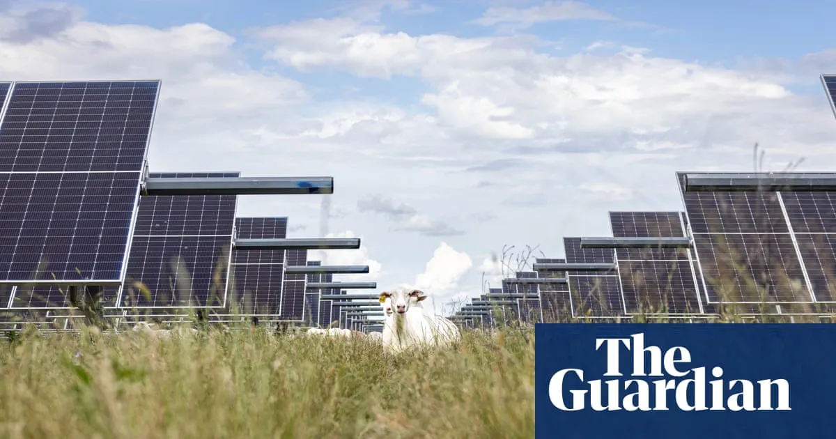 Solar generates more energy in US than coal for first time