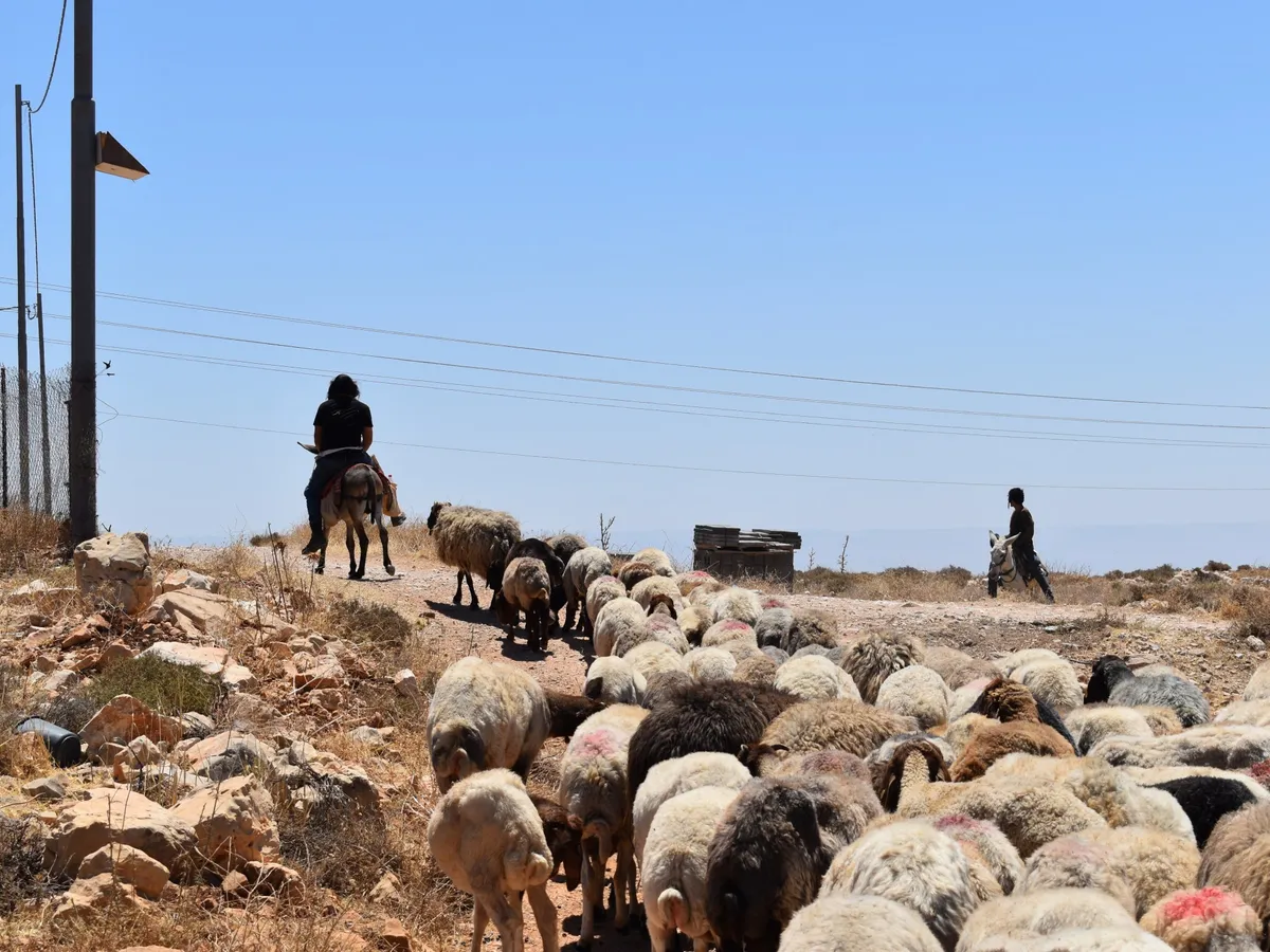 Property deeds no protection for Palestinians as settler violence spreads