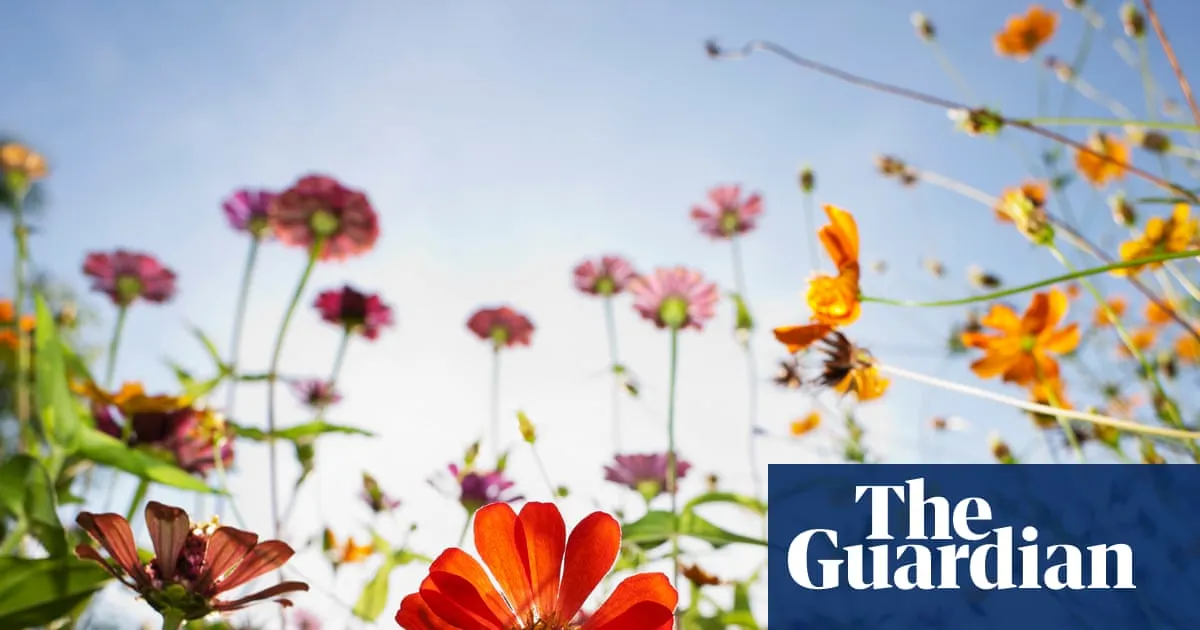 Natural history GCSE to teach teenagers to plant wildflower-friendly gardens