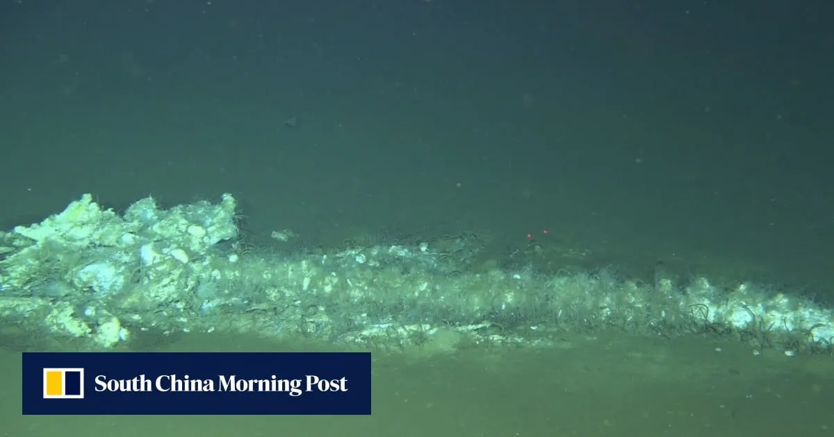 For 5 million years, whales have come to this place in the Indian Ocean to die