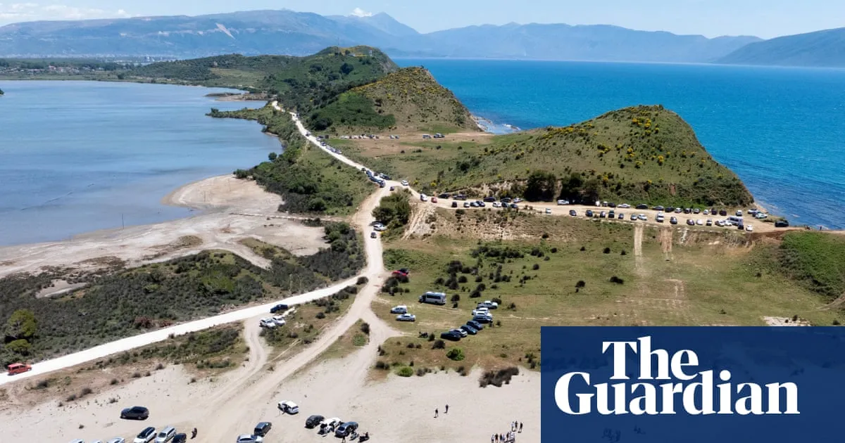 ‘The birds will fly away’: can Albania’s flamingo revolution keep its wetlands free from Trumps and tourists?