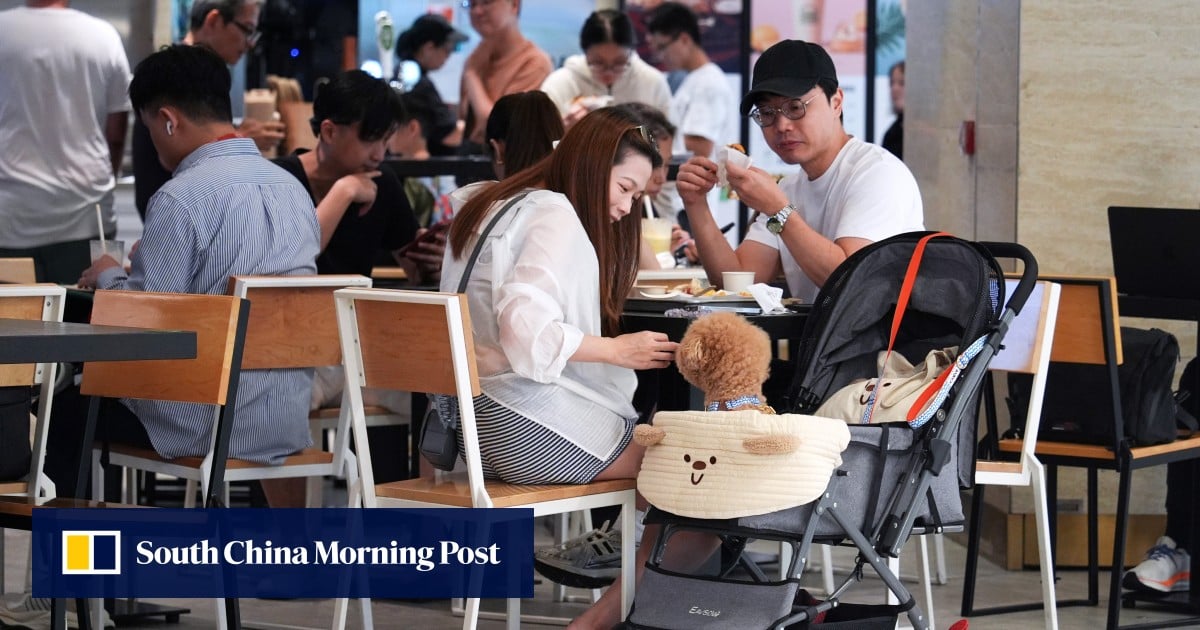 Hong Kong restaurants eye 20% business boost as 1,000 win in dog-friendly licence ballot