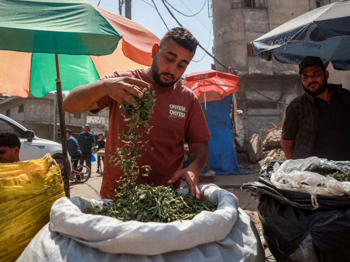 Molokhia cigarettes: Gaza’s toxic alternative to tobacco