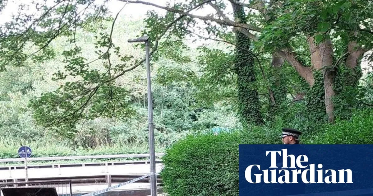 Three teenagers arrested over death of man in Essex