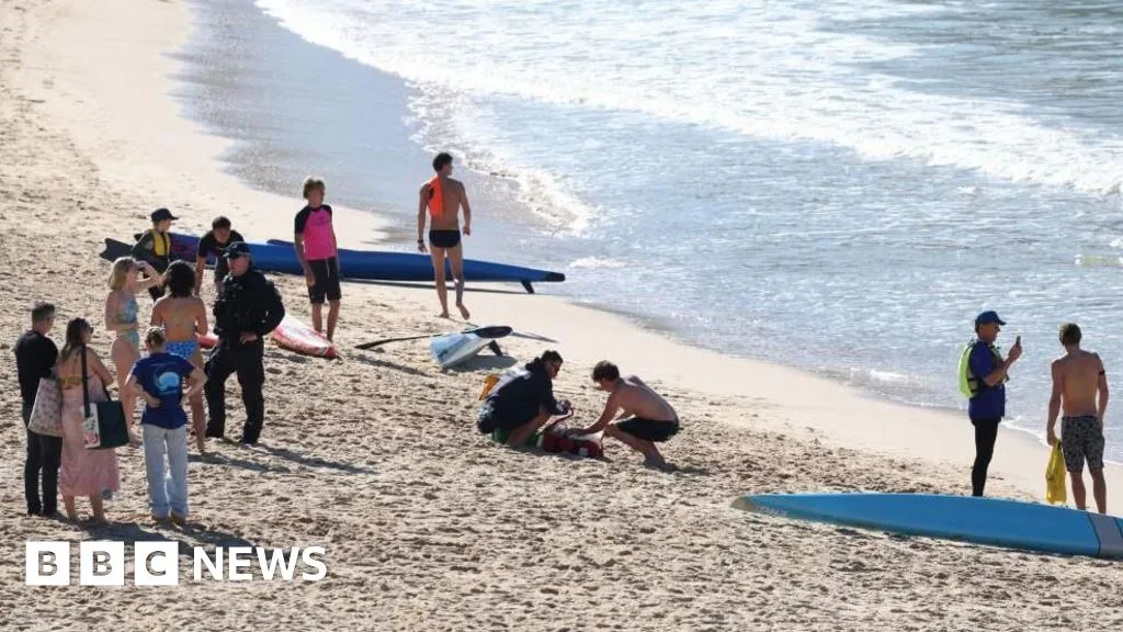 Woman seriously injured in shark attack at Sydney beach