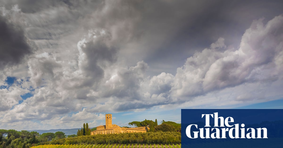 DNA from 2,000-year-old grape seeds points to origins of modern winemaking