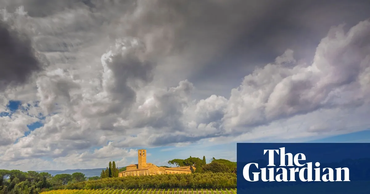 DNA from 2,000-year-old grape seeds points to origins of modern winemaking