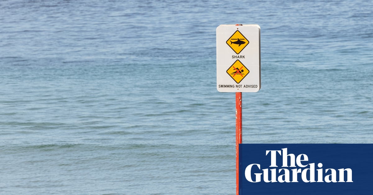 Woman has arm amputated after Coogee shark attack, ‘devastated’ family say