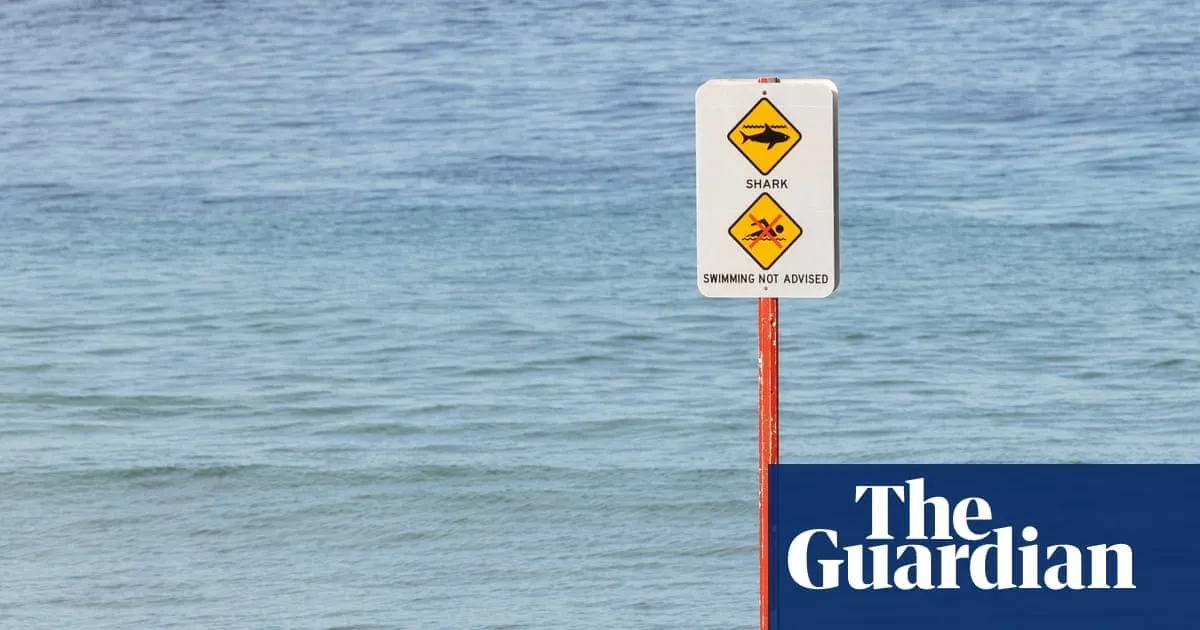 Woman has arm amputated after Coogee shark attack, ‘devastated’ family say