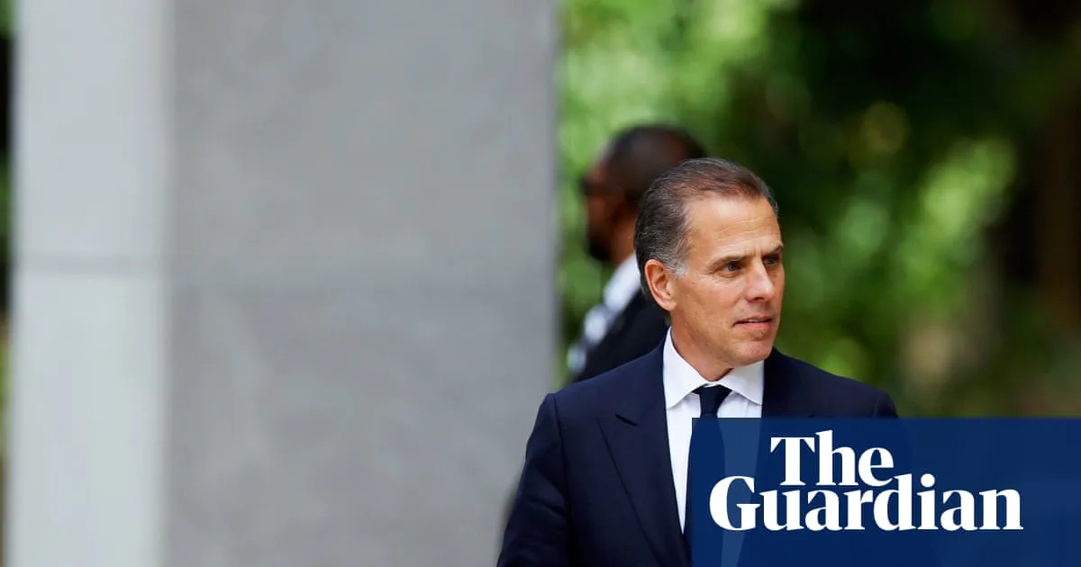 Hunter Biden’s funny, honest X posts win fans – even Republicans