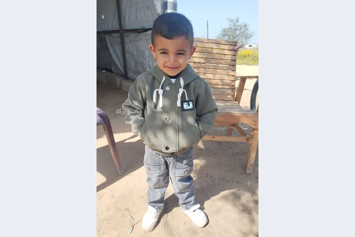 Israeli forces kill three-year-old Palestinian boy on family farm in Gaza