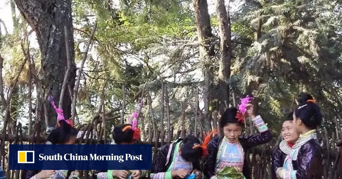 China’s Miao people believe human life symbolised by trees, depicting birth, hardship, death