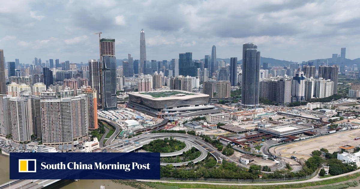 Top legislative body to discuss Hong Kong’s shared control over upgraded crossing