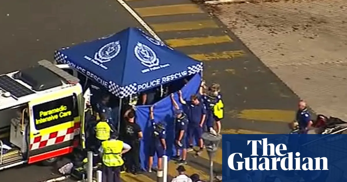 Sydney shark attack: police warn against harbour swimming, say water visibility after rain a possible factor in incident