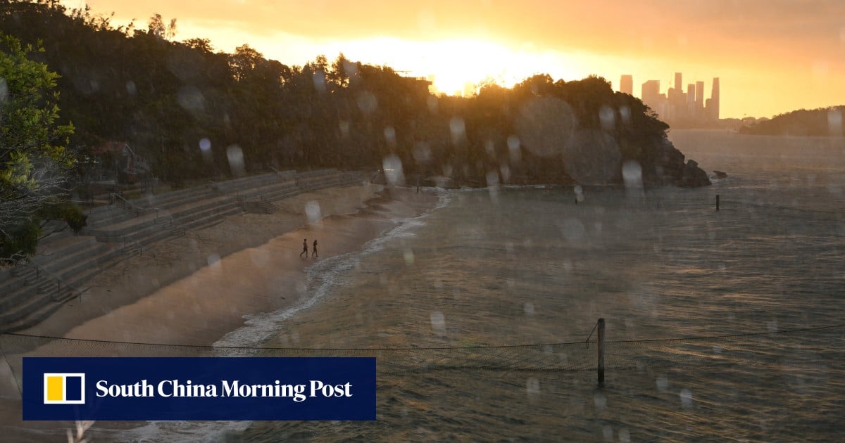 Boy, 12, ‘fighting for life’ after Sydney Harbour shark attack
