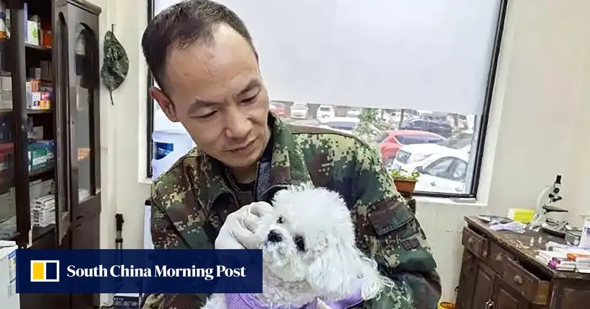 Ex-China military dog handler offers low-cost pet treatments, has 5 million online followers