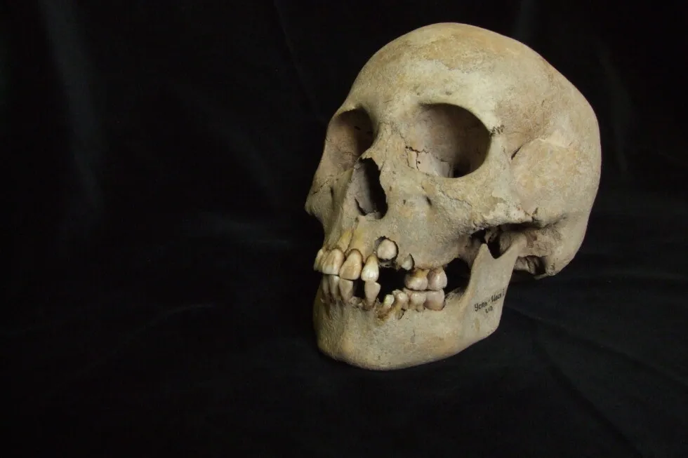 Ancient teeth from Siberia rewrite the plague’s timeline, dating back to over 5,500 years ago