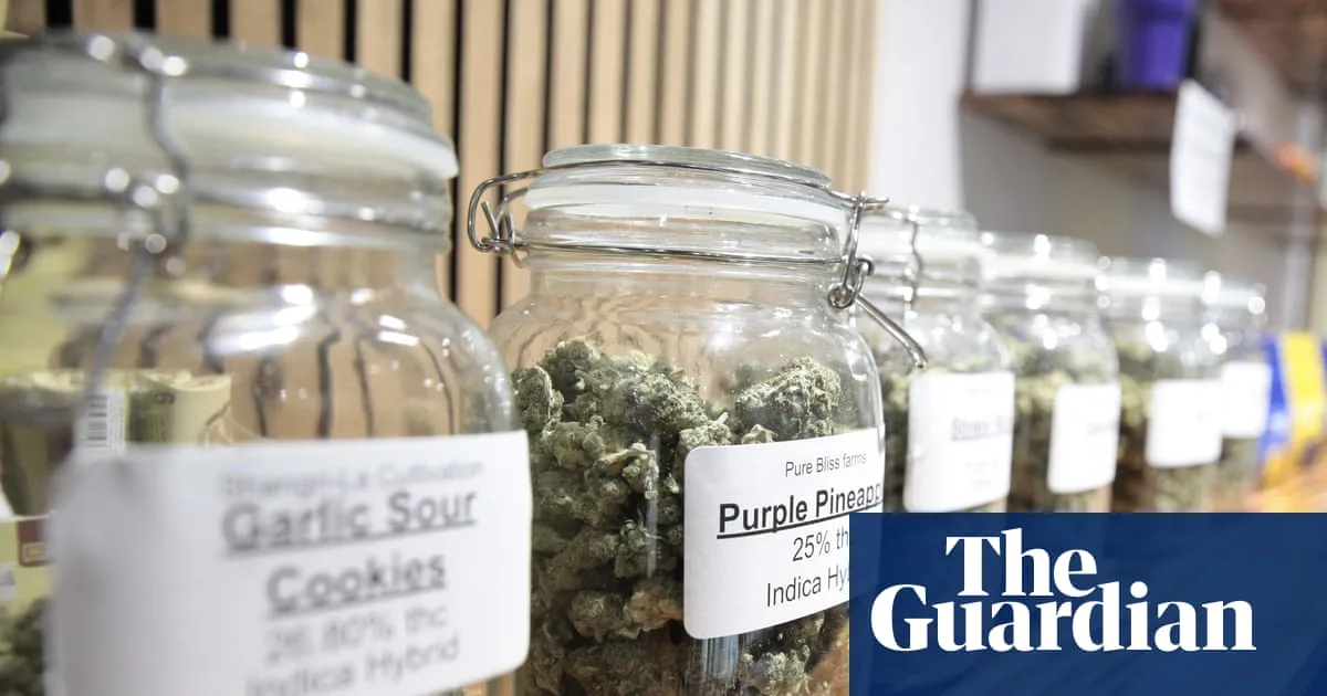 Cannabis commercialisation not decriminalisation drives up usage, study finds