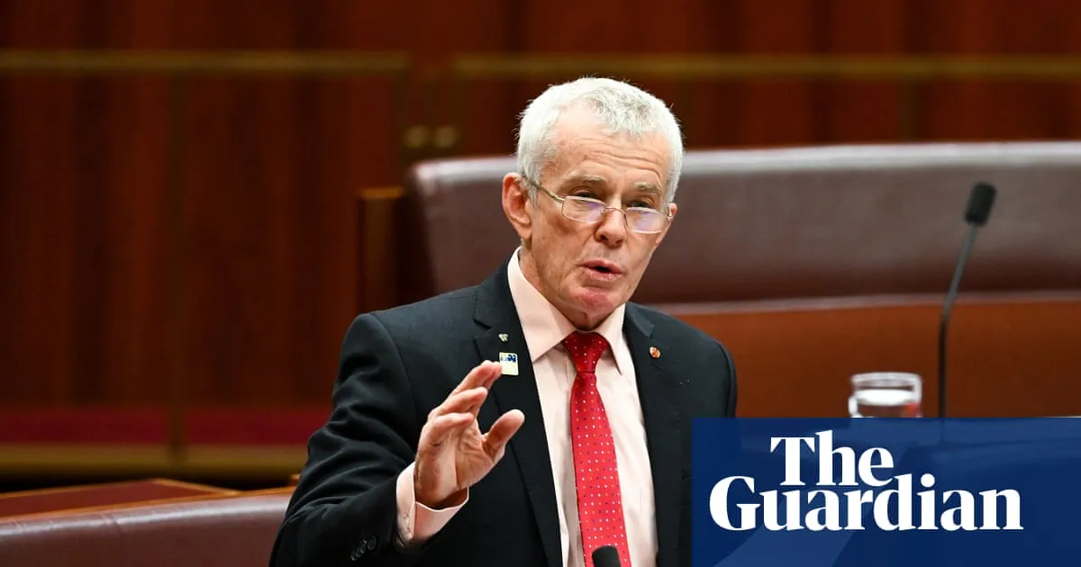 One Nation senator Malcolm Roberts says he will push for party to adopt blanket abortion ban