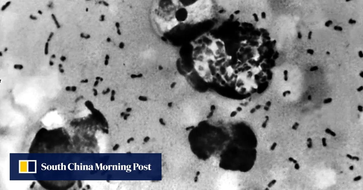 Our ancient enemy: scientists discover oldest-known plague outbreak