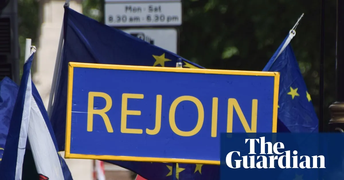 Rejoining customs union would not fix damage caused by Brexit, research finds