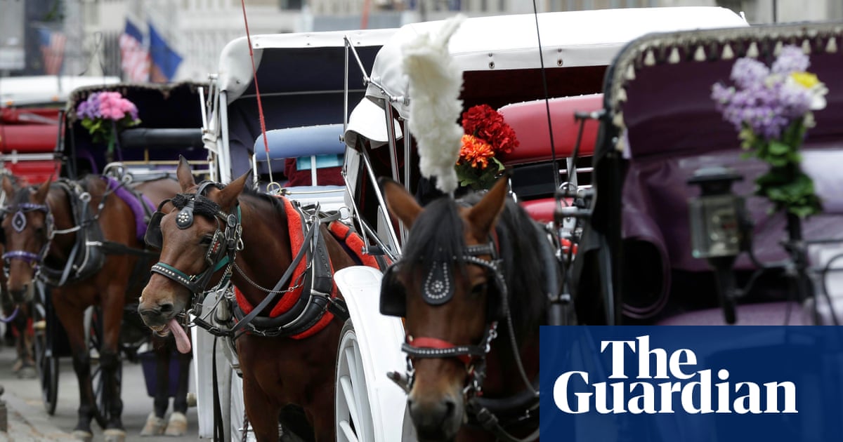 Teenager dies after being thrown from horse-drawn carriage in Central Park