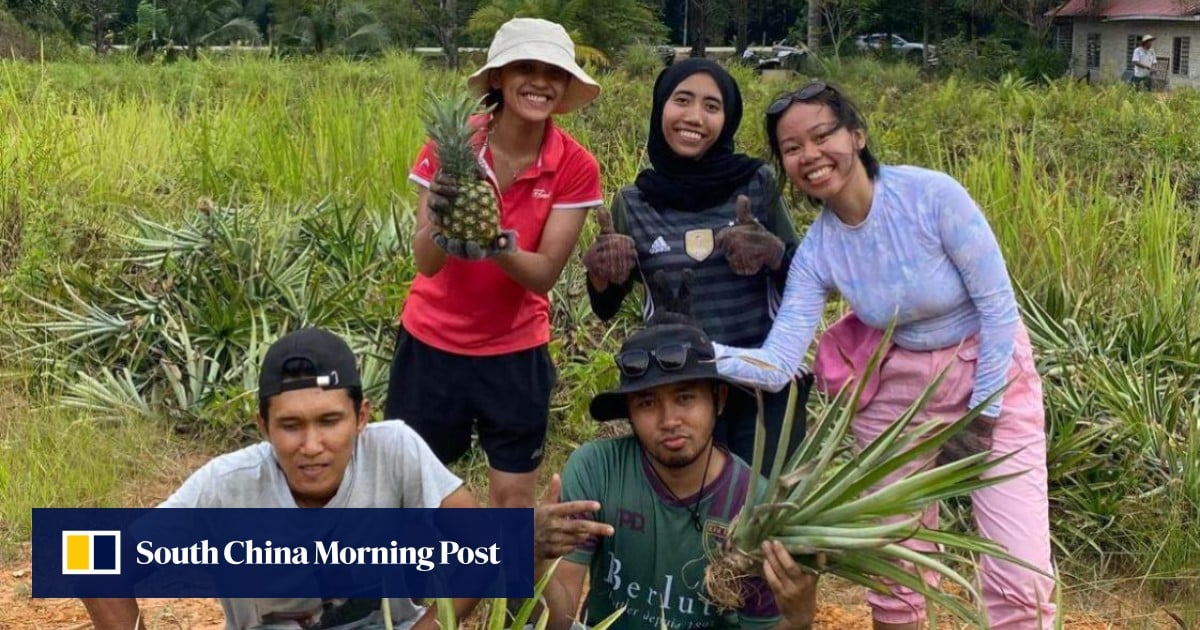 Southeast Asia’s young farmers dig in for the future in ‘call to return to the land’