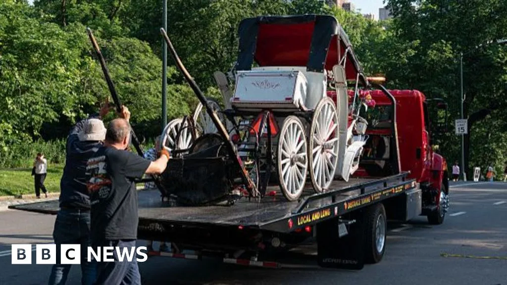 Teenager dies in horse-drawn carriage accident in New York